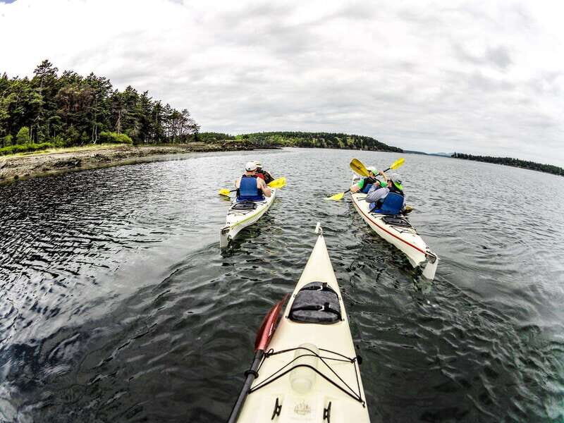 San Juan Island: Full Day Kayaking Tour with Lunch - Key Points