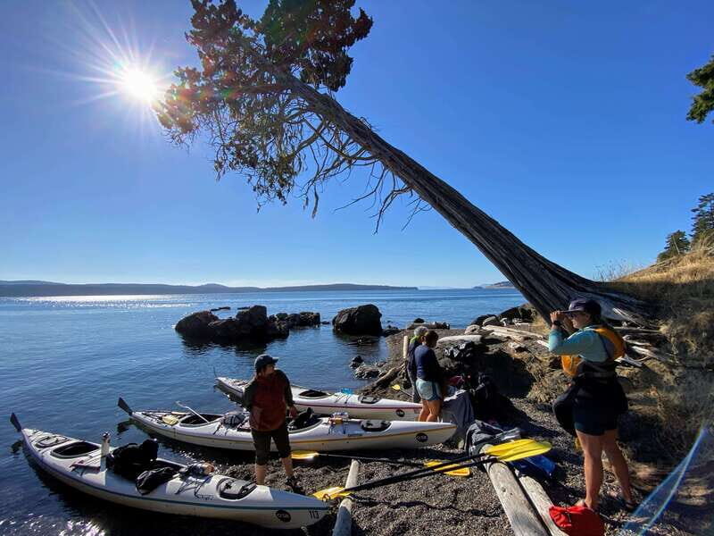 San Juan Island: Full Day Kayaking Tour with Lunch - FAQ