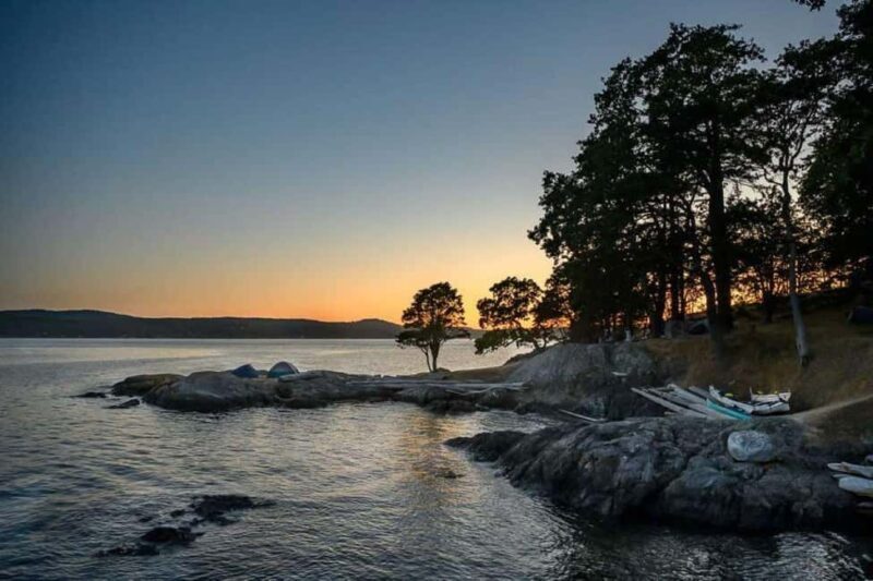 San Juan Island: Half- or Full-Day Lime Kiln Kayak Tour - Exploring the San Juan Island Kayak Tours in Depth
