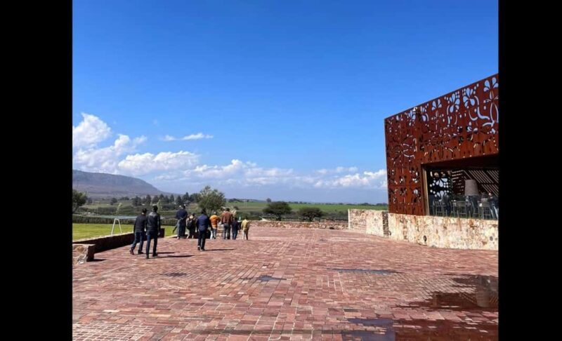 San Miguel Allende: Guanajuato Wine Route vineyard tour - Discovering the Guanajuato Wine Route: What to Expect