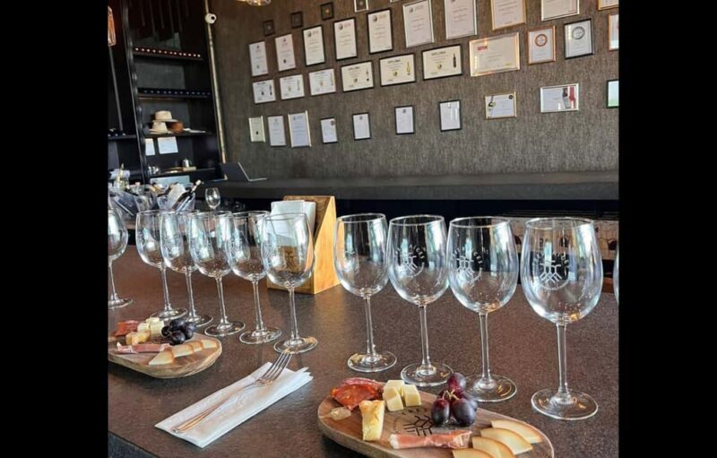 San Miguel Allende: Guanajuato Wine Route vineyard tour - The Sum Up