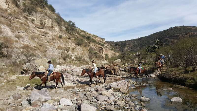 San Miguel Allende: Half-Day Horseback Riding Adventure - A Deep Dive into the Experience
