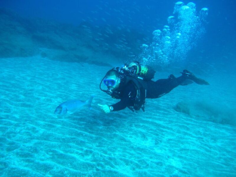 San Miguel de Abona: 2Dive Package - Practical Considerations