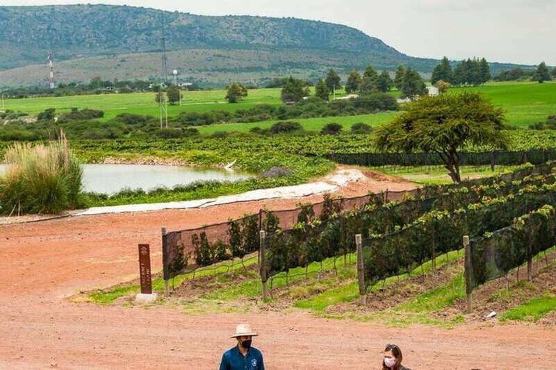 San Miguel de Allende: 3 or 5-Course Menu & Wine Pairing - Final Thoughts