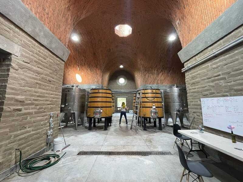 San Miguel de Allende: A Journey Through Vineyards - What to Expect from Your Tour Experience