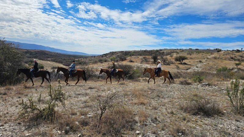 San Miguel de Allende: Breakfast Horseback Ride To Nirvana - Key Points
