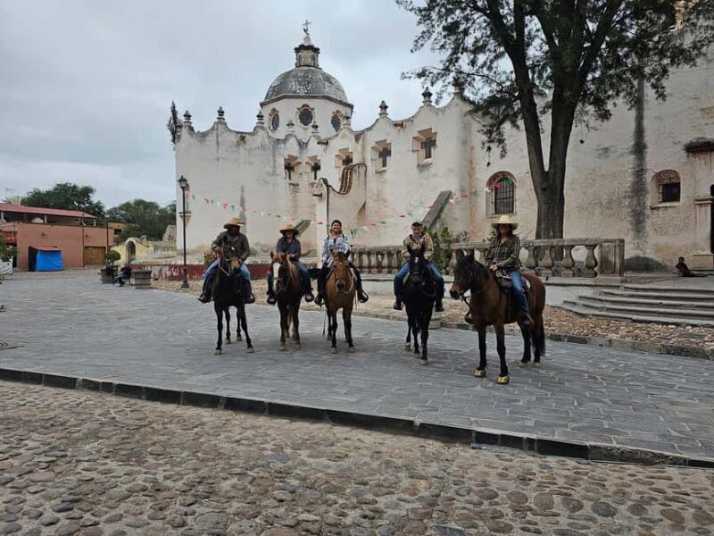 San Miguel de Allende: Breakfast Horseback Ride To Nirvana - The Horses and Trails: What Are They Like?