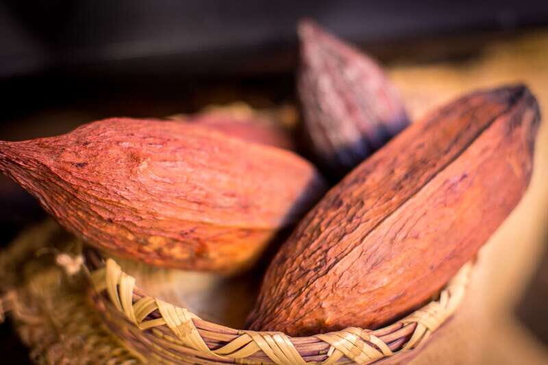 San Miguel de Allende: Chocolate Tasting and Walking Tour - What You Can Expect on the Tour