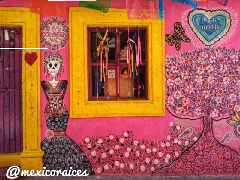 San Miguel de Allende: Dia de Muertos Traditions Guided Tour - Final Thoughts