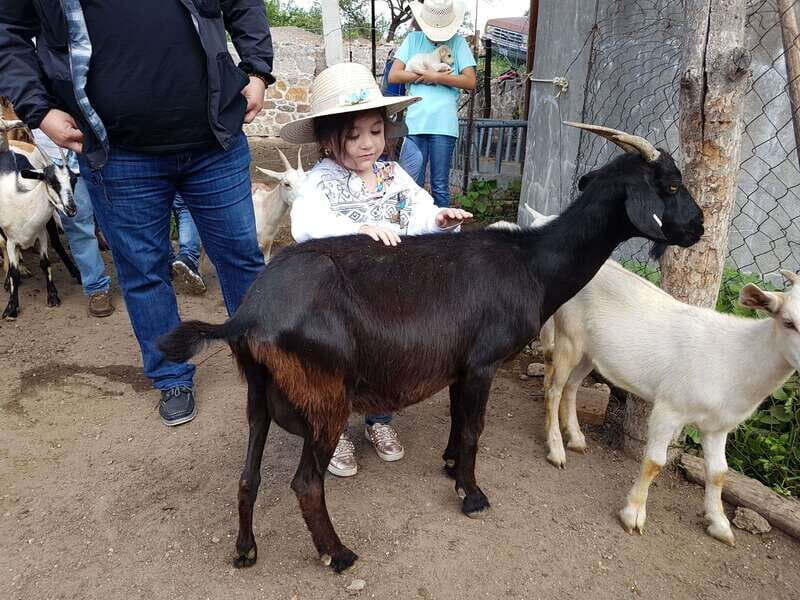 San Miguel de Allende: Full-Day Ranch Adventure - Final Thoughts