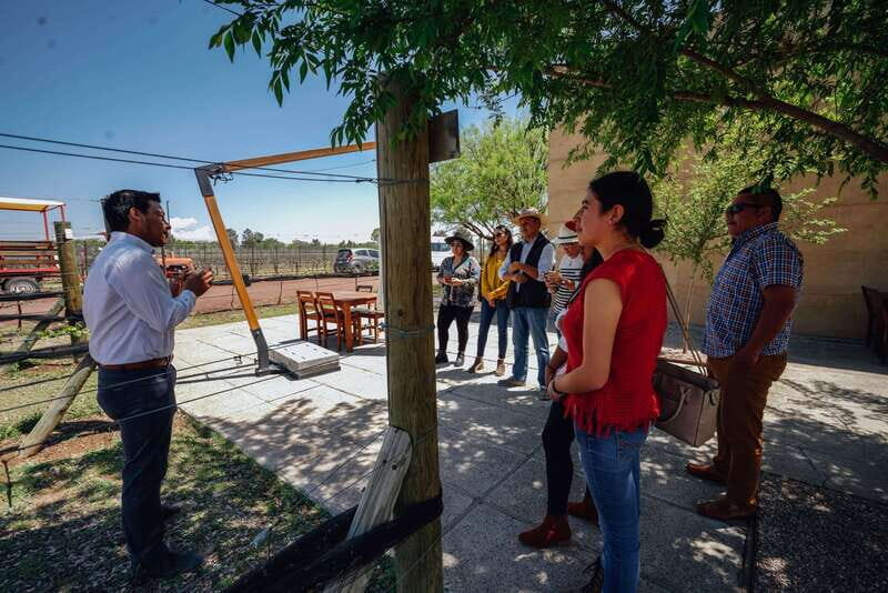 San Miguel de Allende: Independence Valley Wine Route - The Sum Up