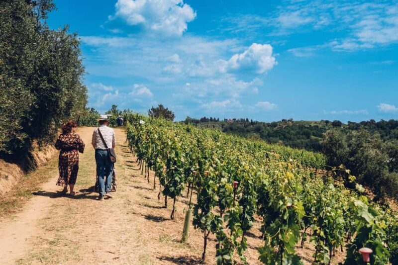 San Miniato: Wine Tour in a Family-Run Tuscan Winery - Frequently Asked Questions