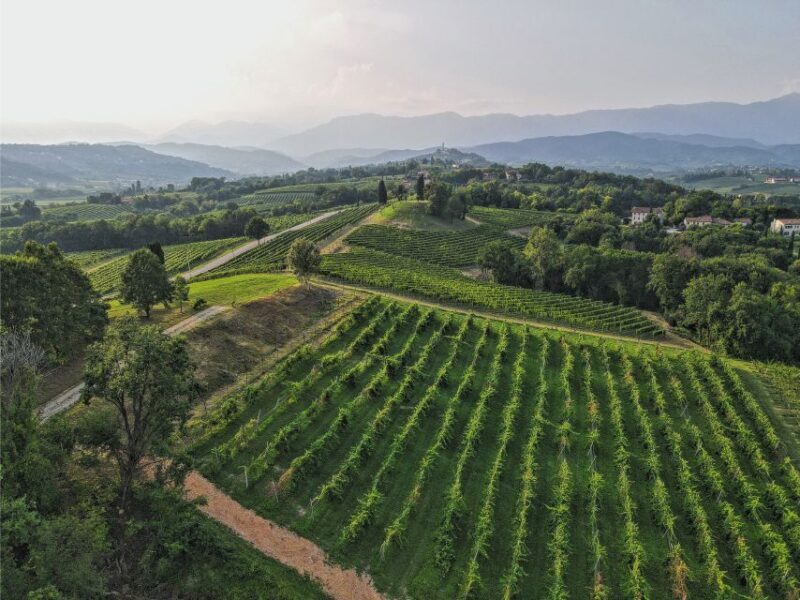 San Pietro di Feletto: Vineyard Tour with Cellar Visit - Practical Considerations