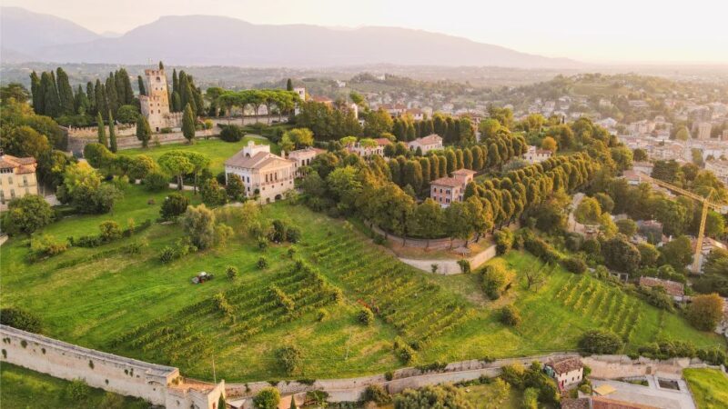 San Pietro di Feletto: Vineyard Tour with Cellar Visit - FAQ