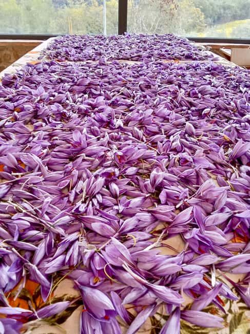 San Polo in Chianti: Discovering Saffron - What to Expect During the Tour
