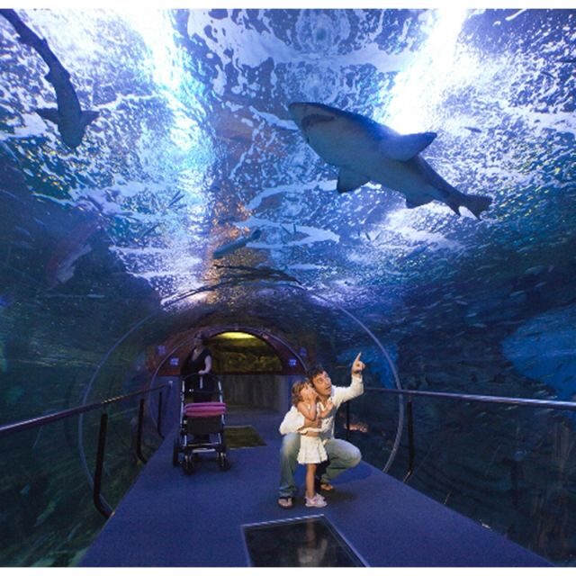 San Sebastian Aquarium Entry Ticket and City Walking Tour - Frequently Asked Questions