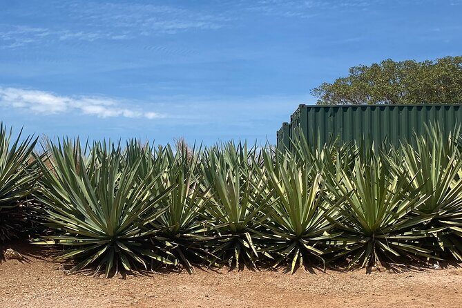 San Sebastián del Oeste, a town between mountains - Lunch and Final Moments