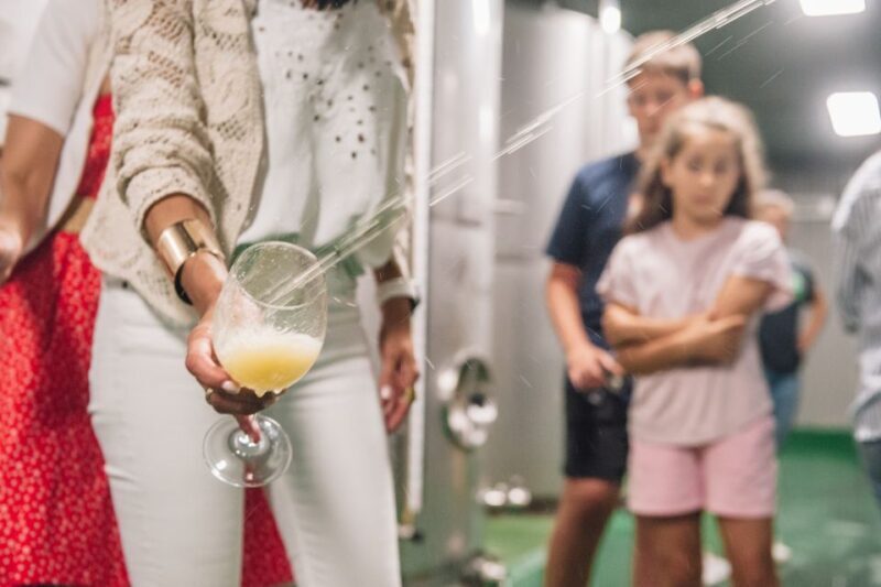 San Sebastián: Traditional Cider House Tour with Lunch - What Do the Reviews Say?