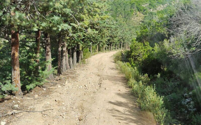 San Teodoro: Rio Pitrisconi Jeep and Hiking Tour - Key Points