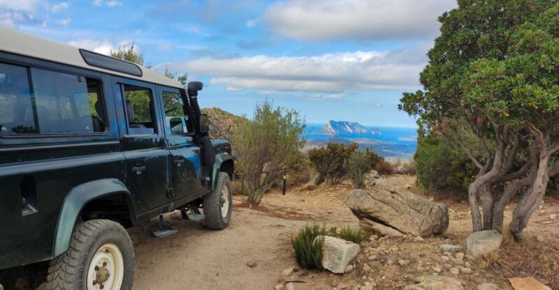 San Teodoro: Rio Pitrisconi Jeep and Hiking Tour - Exploring the Richness of Sardinia’s Landscape