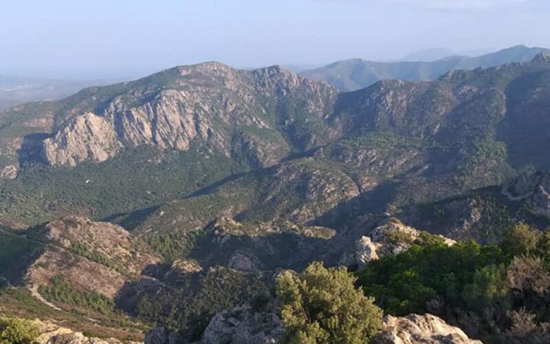 San Teodoro: Rio Pitrisconi Jeep and Hiking Tour - The Sardinian Aperitif: A Delicious Finish