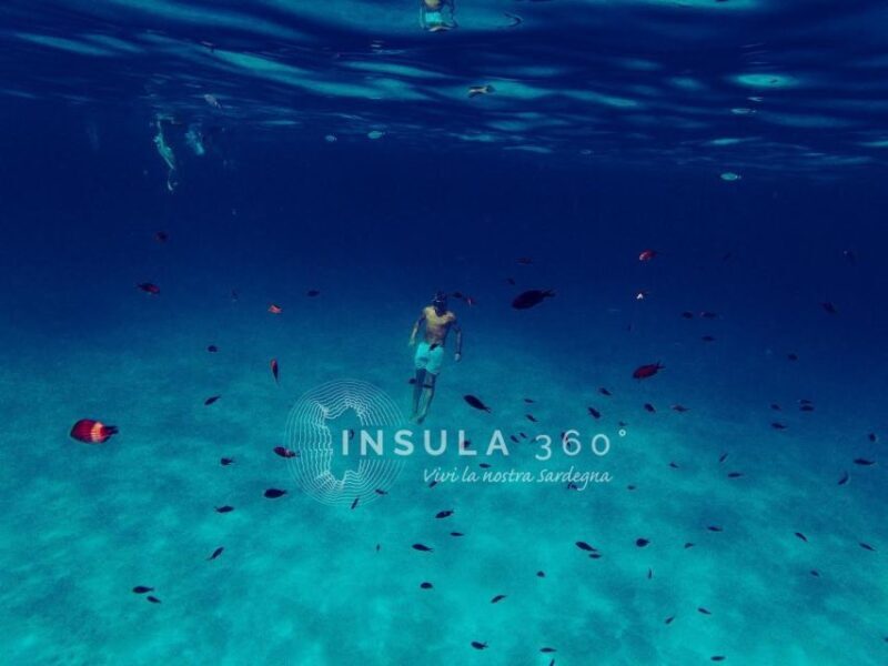 San Teodoro: Tavolara and Molara Islands Dinghy Excursion - Snorkelling in Turtle Bay and Spiaggia delle Vacche