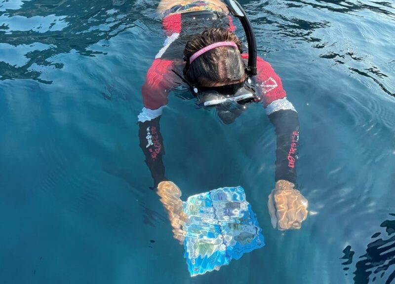 San Terenzo: Portovenere Natural Park Snorkeling Trip - A Closer Look at the Experience