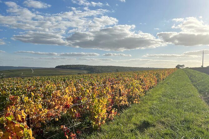 Sancerre Private Wine Tour with 10 Tastings and Lunch from Paris - Is This Tour Worth the Price?