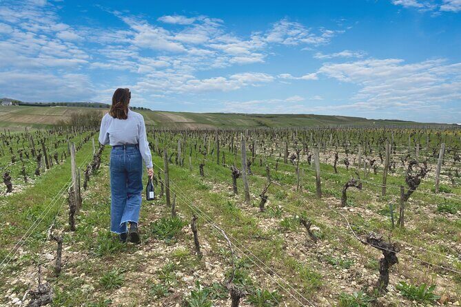 Sancerre Small Group Wine Day Trip with Wine Tastings and Lunch - Frequently Asked Questions