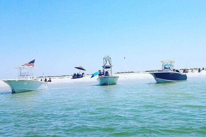 Sandbar, Beach, Dolphin Watching Cruise Sarasota, Florida - A Friendly Look at Sarasota’s Sandbar, Beach, and Dolphin Watching Cruise