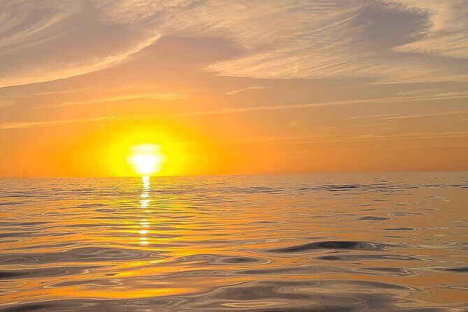 Sandbar, Beach, Dolphin Watching Cruise Sarasota, Florida - Key Points