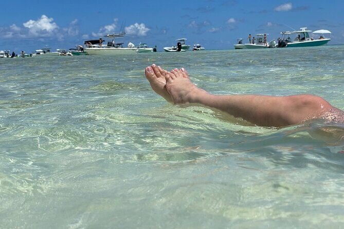 Sandbar Excursion - The Experience from Traveler Perspectives