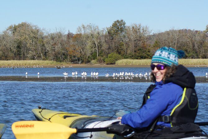 Sandhill Crane Kayak Tour with Chattanooga Guided Adventures - Key Points