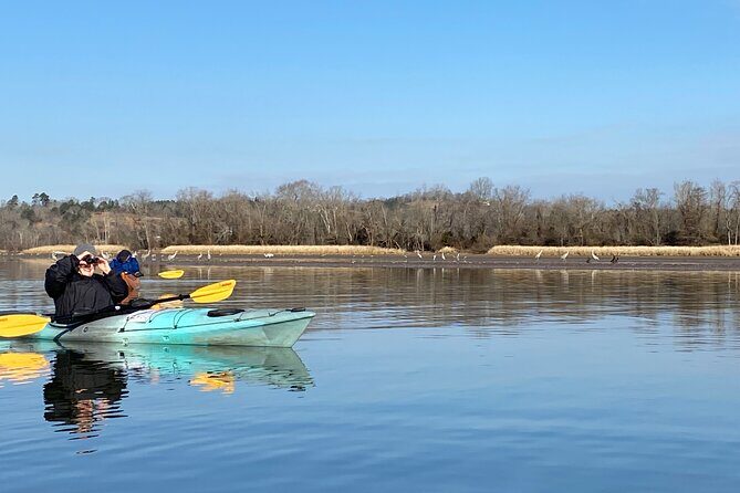 Sandhill Crane Kayak Tour with Chattanooga Guided Adventures - FAQ