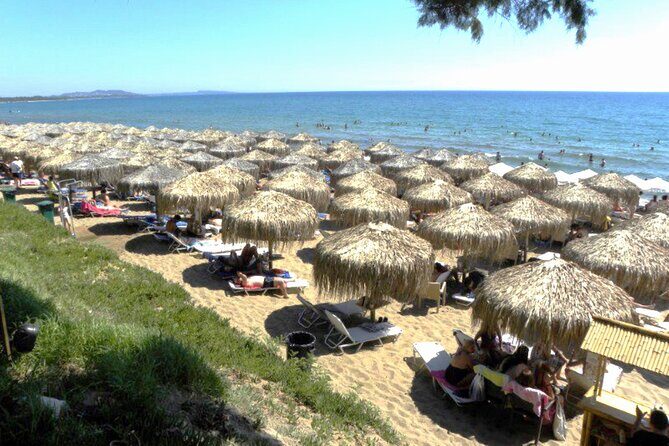 Sandy Shores Shuttle: Your Gateway to Kourouta Beach - Who Should Consider This Tour?