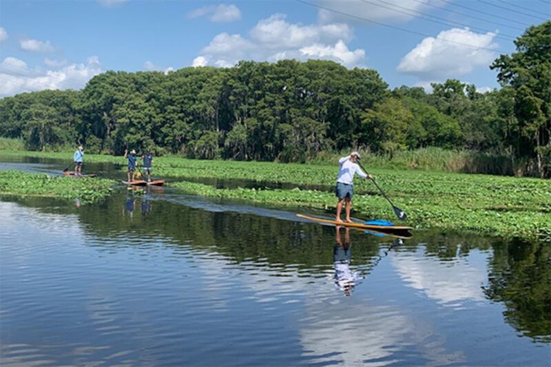 Sanford: Guided SUP or Kayak Manatee-Watching Tour - Exploring Florida’s Waterways with Sanford’s Guided Paddle Tour