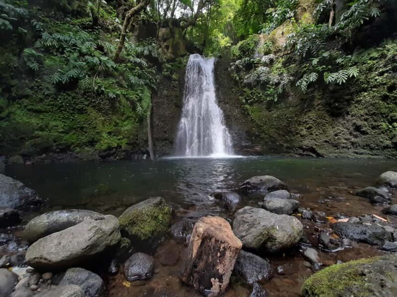 Sanguinho Hike & Furnas Hot Springs Experience - Key Points