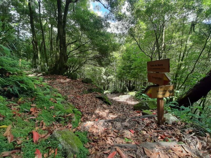 Sanguinho Hike & Furnas Hot Springs Experience - What’s the Value of This Tour?