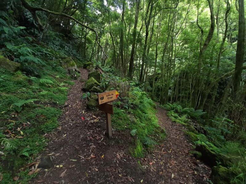 Sanguinho Hike & Furnas Hot Springs Experience - Who Would Love This Experience?