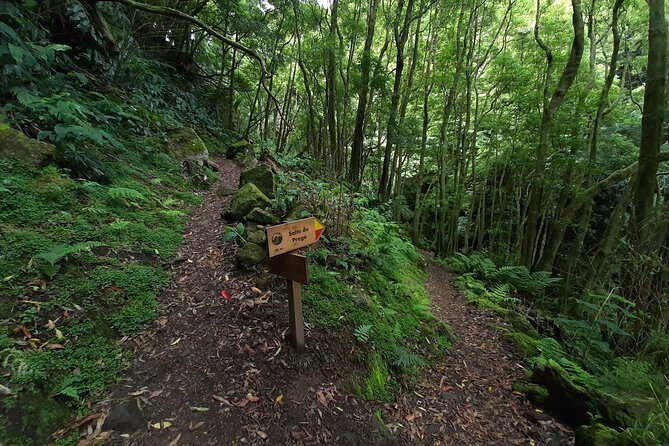 Sanguinho hike, Salto do Prego Waterfall and Furnas hotsprings - Who Is This Tour Best For?