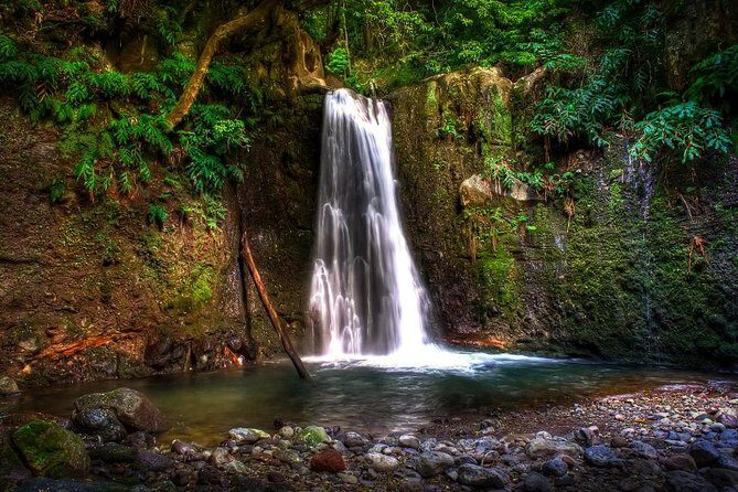 Sanguinho Trail Full-Day Walking Tour with Lunch - What’s Included and How It All Comes Together