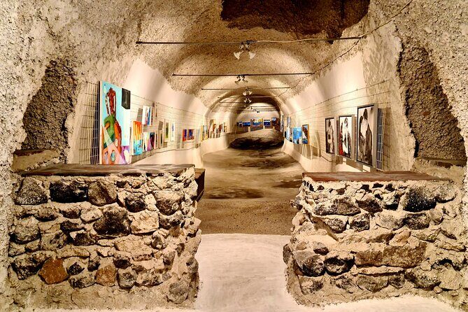 Sanotini Oia Wine Tasting and Local Places Half Day Tour - Key Points