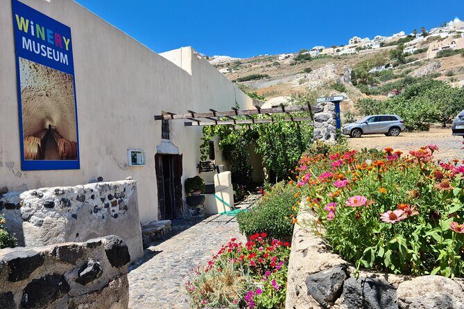 Sanotini Oia Wine Tasting and Local Places Half Day Tour - The Experience in Detail