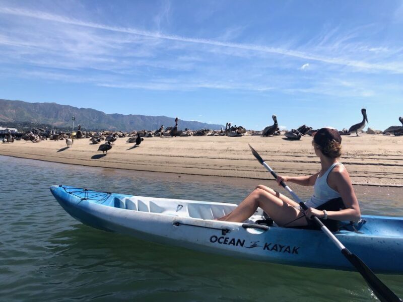 Santa Barbara: 1.5-Hour Harbor Kayak Tour - The Experience in Detail