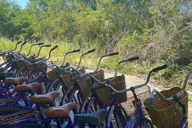 Santa Barbara 4 Cenotes and Bicycles with Lunch from Mérida - Final Thoughts