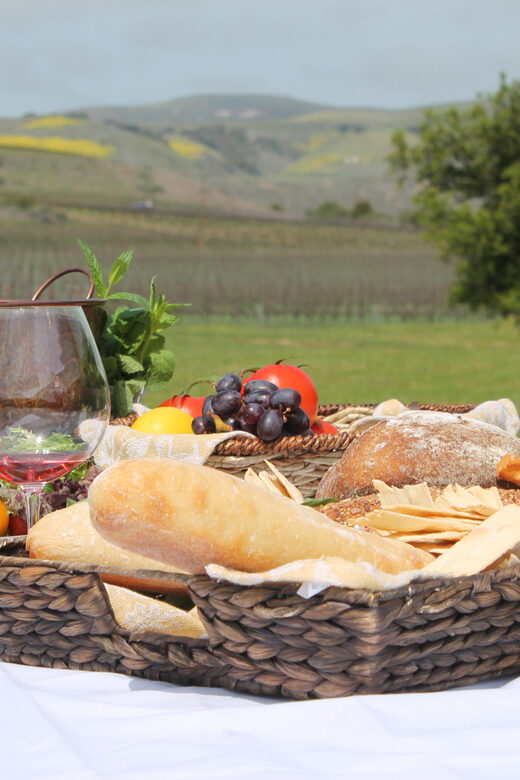 Santa Barbara: E-bike wine tour w/ transport, tasting, lunch - A detailed look at the Santa Barbara E-bike Wine Tour