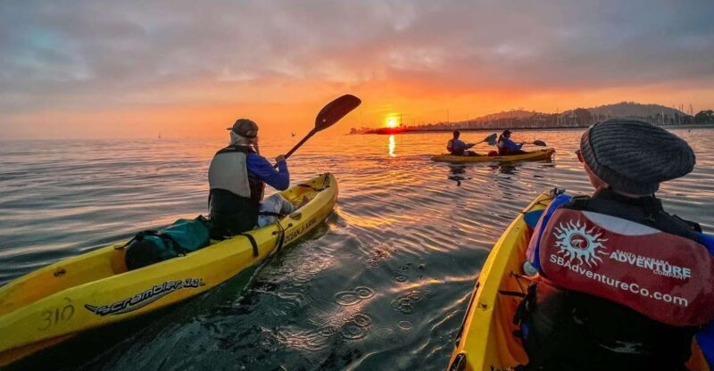 Santa Barbara Harbor: Sunset Kayak Tour (2 Hours) - What You Can Expect from the Santa Barbara Sunset Kayak Tour