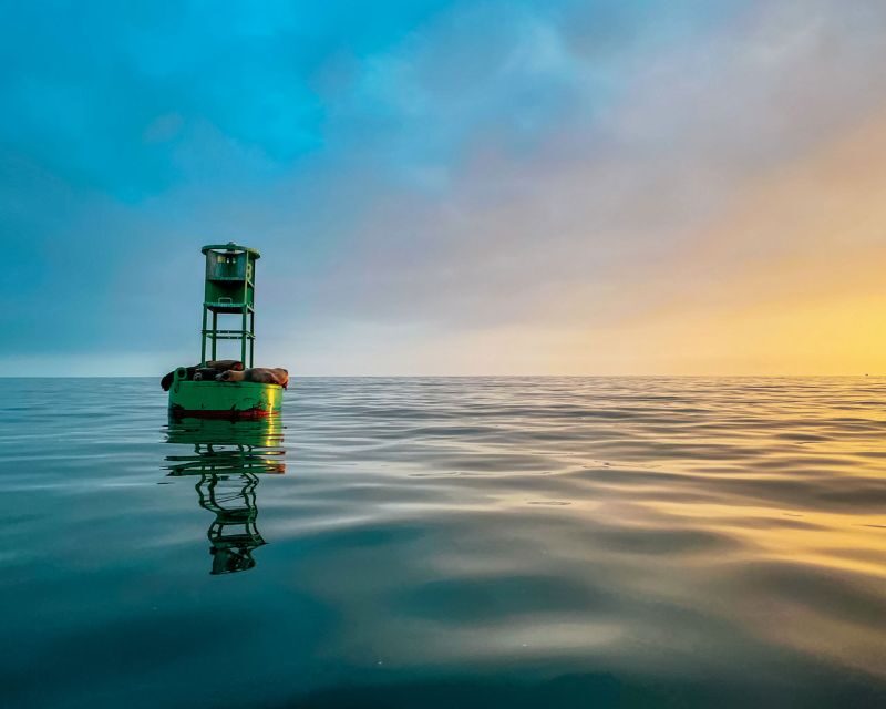 Santa Barbara Harbor: Sunset Kayak Tour (2 Hours) - The Experience in Detail