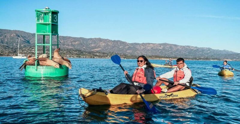 Santa Barbara Harbor: Wildlife Kayak Tour (2 Hours) - Who Should Consider This Tour?