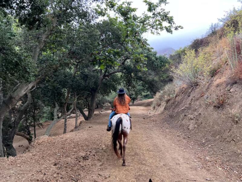 Santa Barbara: Horseback Riding and Wine Tasting Tour - Final Thoughts